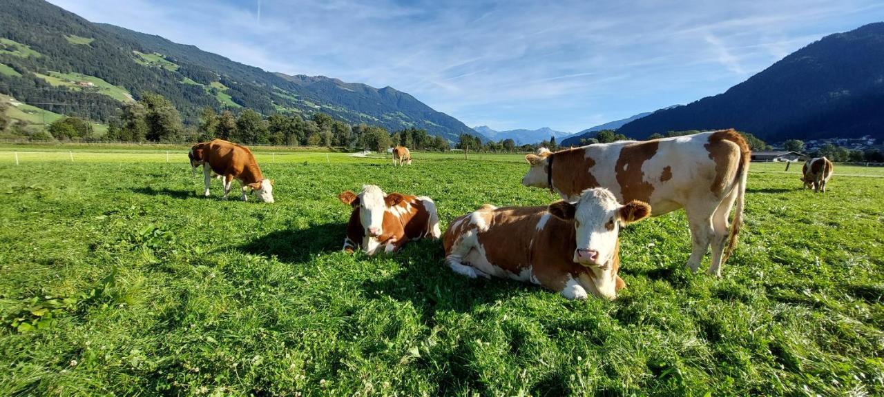 Brixnerhof Im Zillertal Hotel Schlitters Exterior foto
