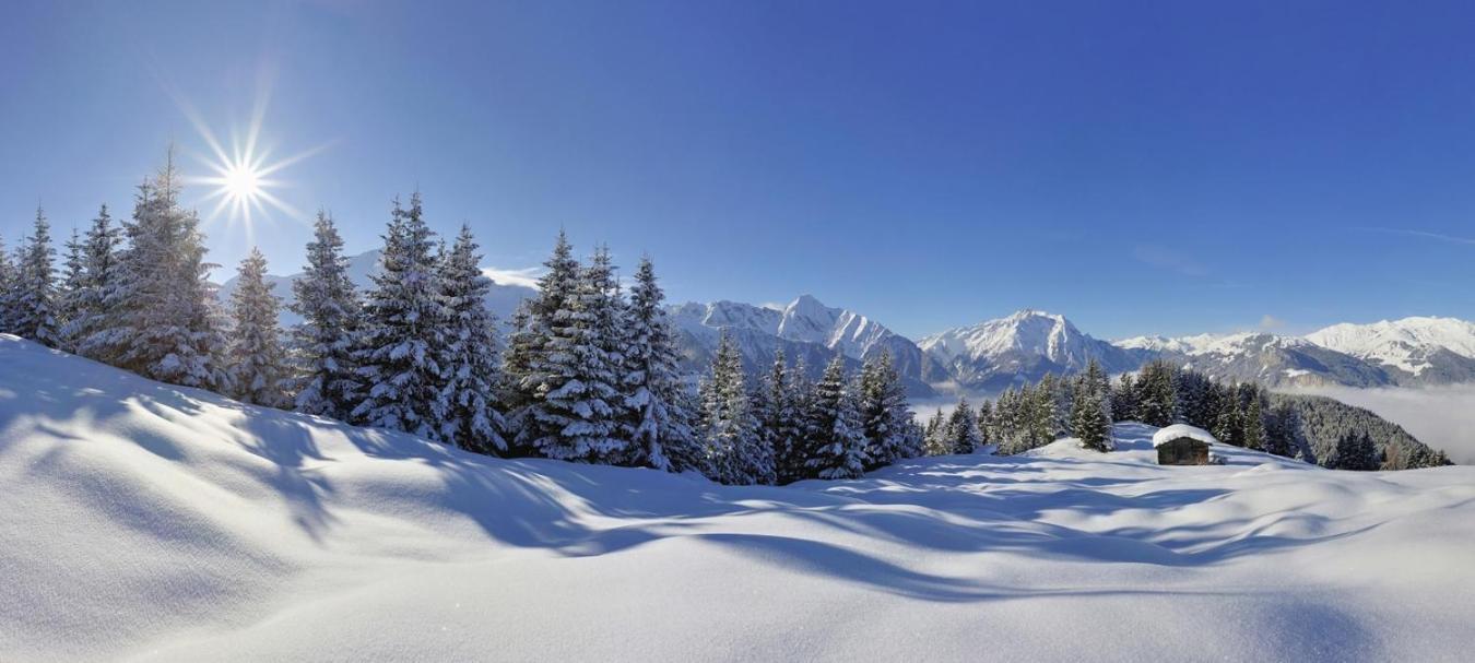 Brixnerhof Im Zillertal Hotel Schlitters Exterior foto